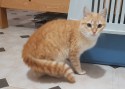 Princesita